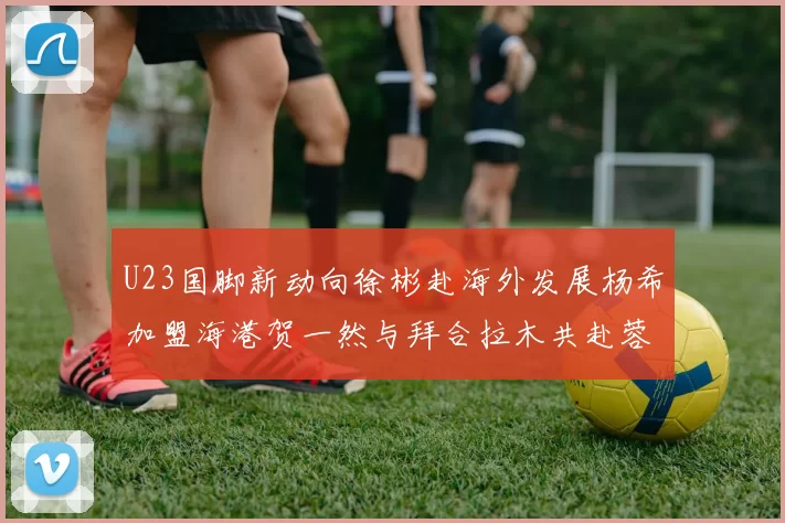 U23国脚新动向徐彬赴海外发展杨希加盟海港贺一然与拜合拉木共赴蓉城