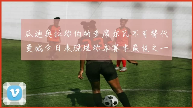 瓜迪奥拉称伯纳多席尔瓦不可替代曼城今日表现堪称本赛季最佳之一